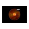 Volk Macula PLus 5.5
